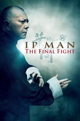 Ip Man - Final Fight (2013)
