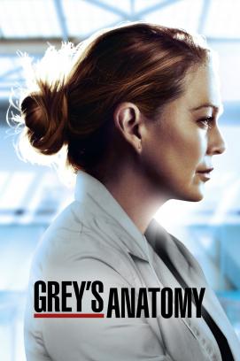 Grey's Anatomy - Staffel 16 (2020)