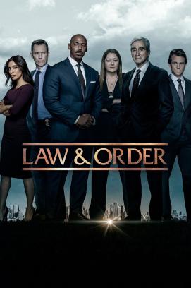 Law & Order - Staffel 22 (1990)
