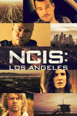 Navy CIS: L.A.  - Staffel 14 (2009)