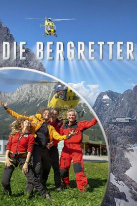 Die Bergretter - Staffel 15 (2009)