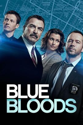 Blue Bloods - Crime Scene New York - Staffel 13 (2010)